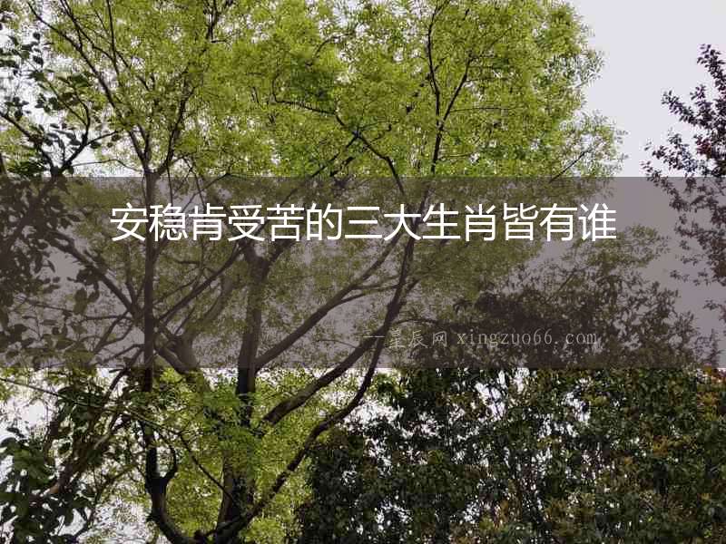 安穩肯受苦的三大生肖皆有誰