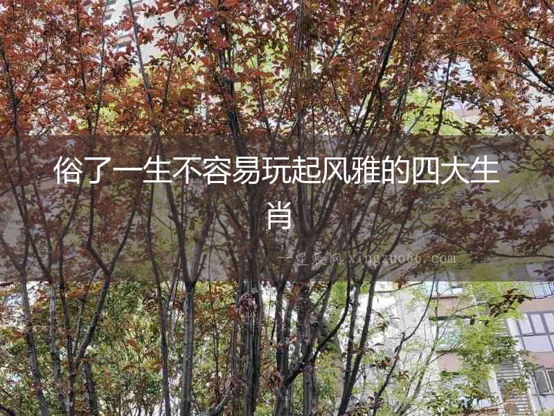 俗了一生不容易玩起風雅的四大生肖