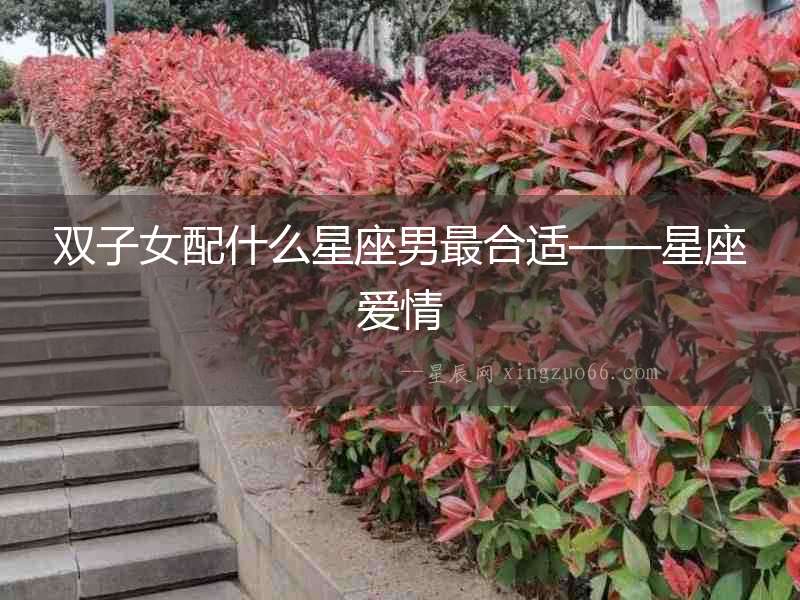 雙子女配什么星座男最合適——星座愛情