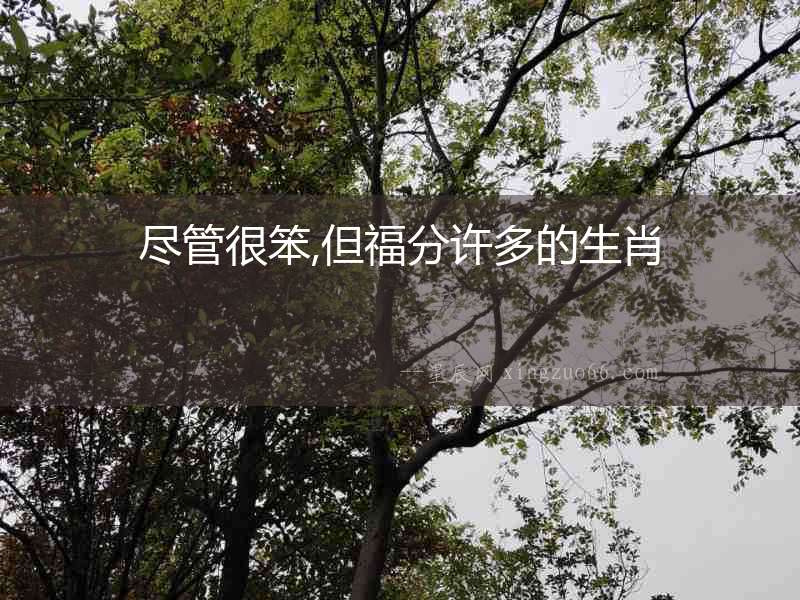盡管很笨,但福分許多的生肖