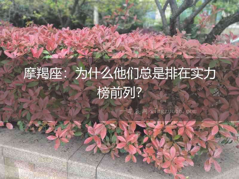 摩羯座：為什么他們總是排在實力榜前列？