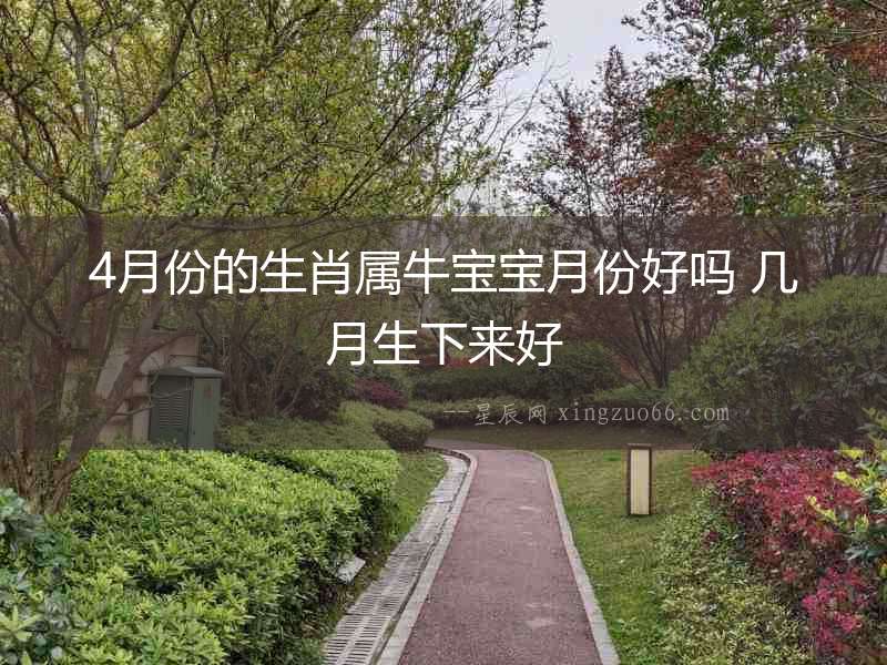 4月份的生肖屬牛寶寶月份好嗎 幾月生下來好