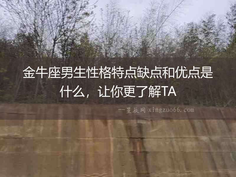 金牛座男生性格特點缺點和優點是什么，讓你更了解TA