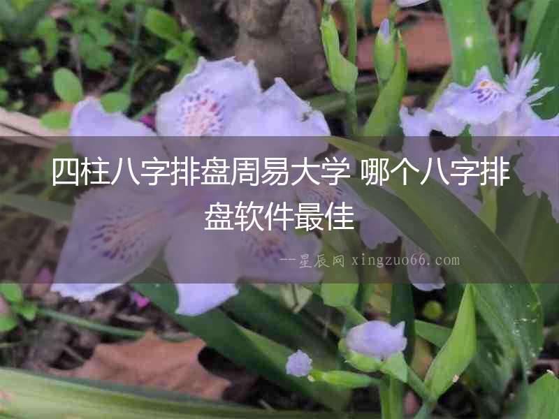 四柱八字排盤周易大學 哪個八字排盤軟件最佳