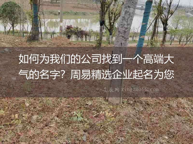 如何為我們的公司找到一個高端大氣的名字？周易精選企業起名為您提供靈感