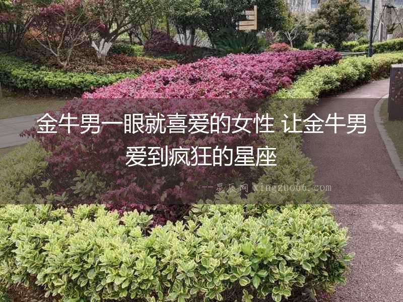 金牛男一眼就喜愛的女性 讓金牛男愛到瘋狂的星座