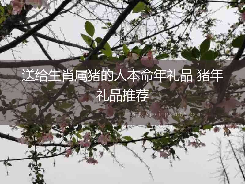送給生肖屬豬的人本命年禮品 豬年禮品推薦