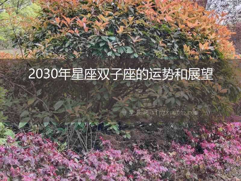 2030年星座雙子座的運勢和展望