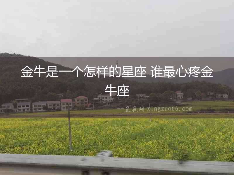金牛是一個怎樣的星座 誰最心疼金牛座