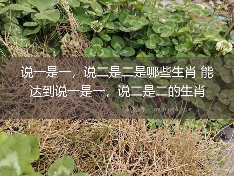說一是一，說二是二是哪些生肖 能達到說一是一，說二是二的生肖