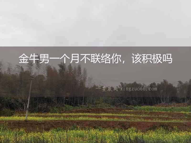 金牛男一個月不聯絡你，該積極嗎