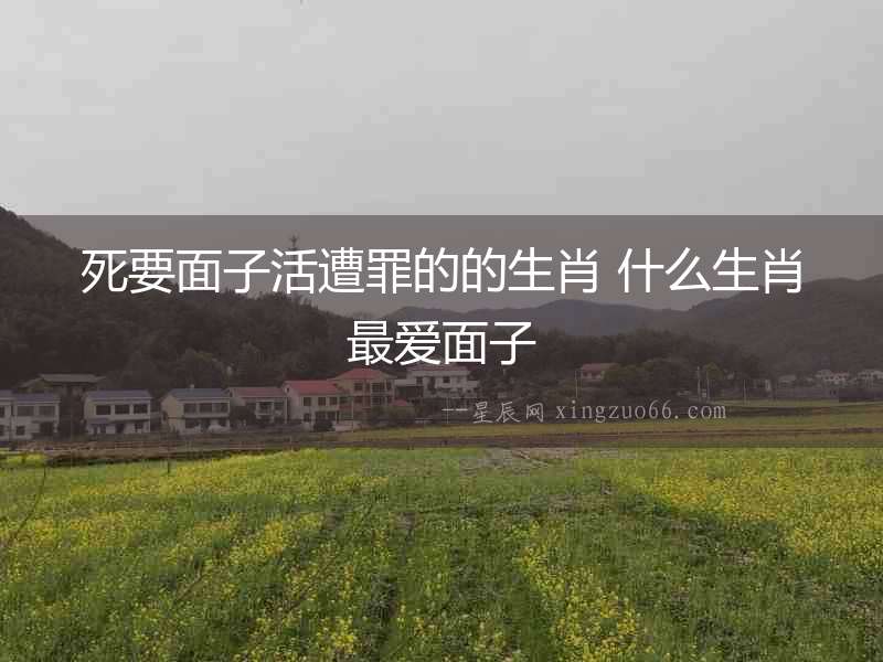 死要面子活遭罪的的生肖 什么生肖最愛面子