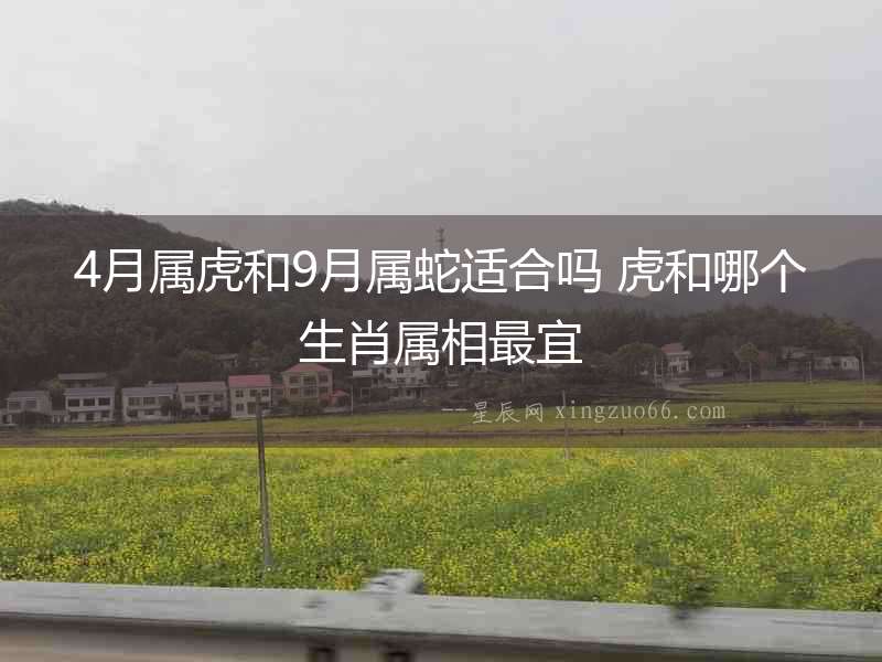 4月屬虎和9月屬蛇適合嗎 虎和哪個生肖屬相最宜