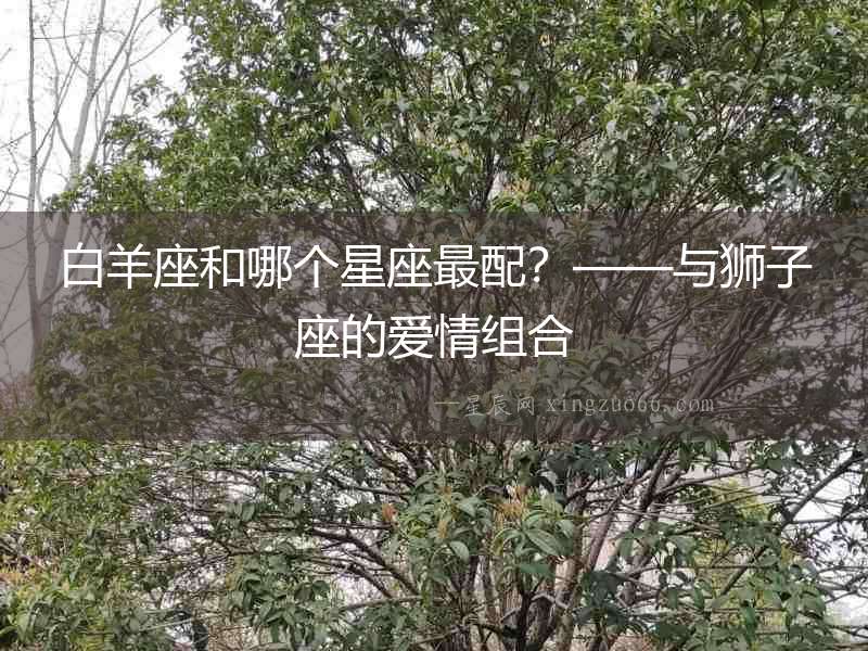 白羊座和哪個星座最配？——與獅子座的愛情組合