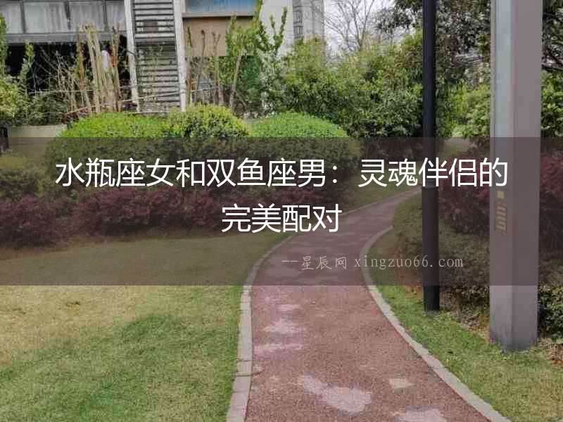 水瓶座女和雙魚座男：靈魂伴侶的完美配對