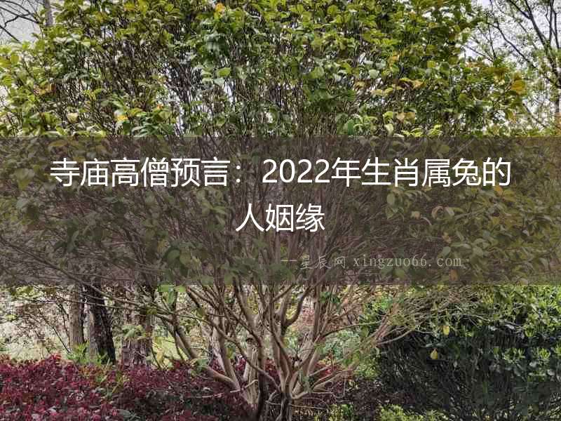 寺廟高僧預言：2022年生肖屬兔的人姻緣