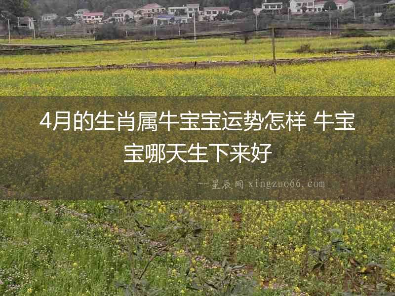 4月的生肖屬牛寶寶運勢怎樣 牛寶寶哪天生下來好