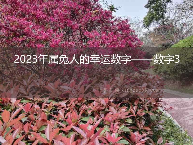 2023年屬兔人的幸運數字——數字3
