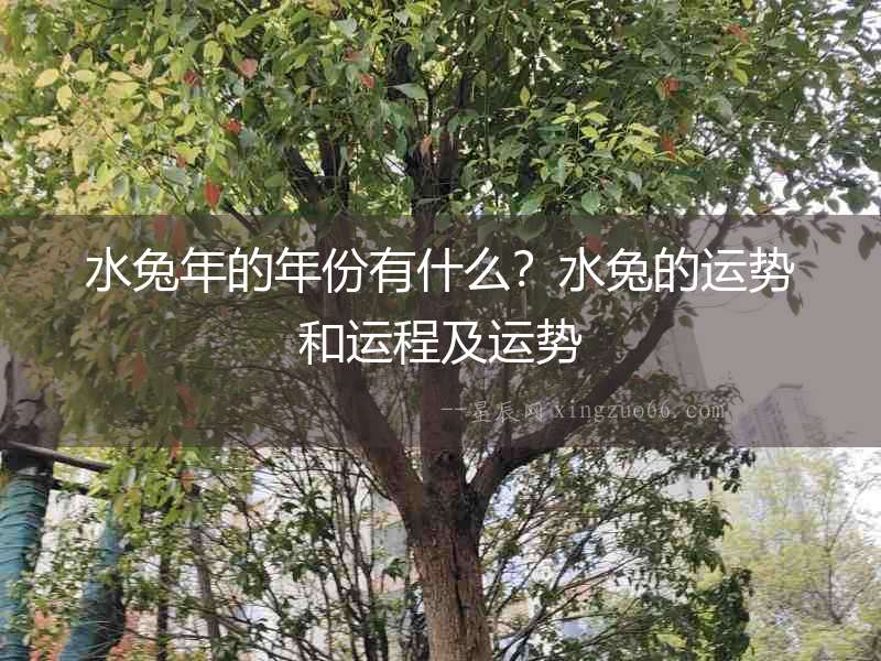 水兔年的年份有什么？水兔的運勢和運程及運勢