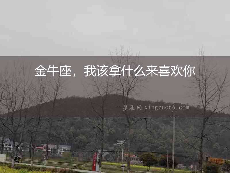 金牛座，我該拿什么來喜歡你
