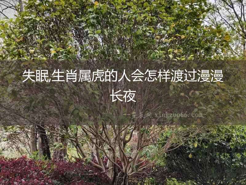 失眠,生肖屬虎的人會怎樣渡過漫漫長夜