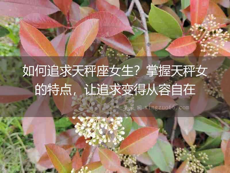 如何追求天秤座女生？掌握天秤女的特點，讓追求變得從容自在