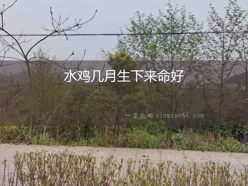 水雞幾月生下來命好