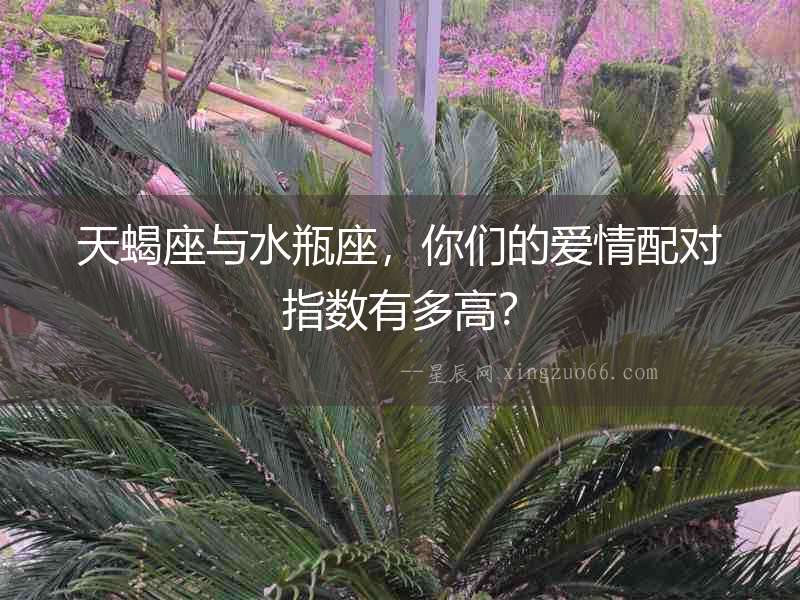 天蝎座與水瓶座，你們的愛情配對指數有多高？