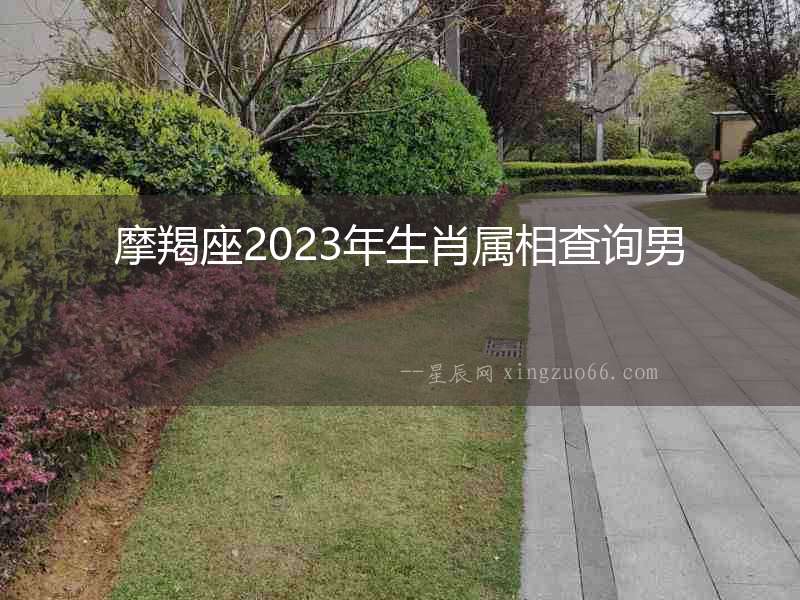 摩羯座2023年生肖屬相查詢男