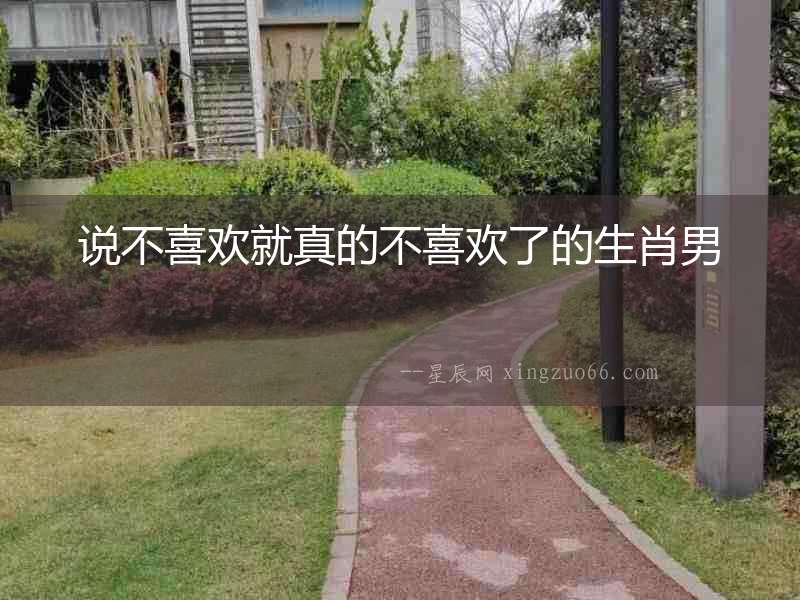 說不喜歡就真的不喜歡了的生肖男