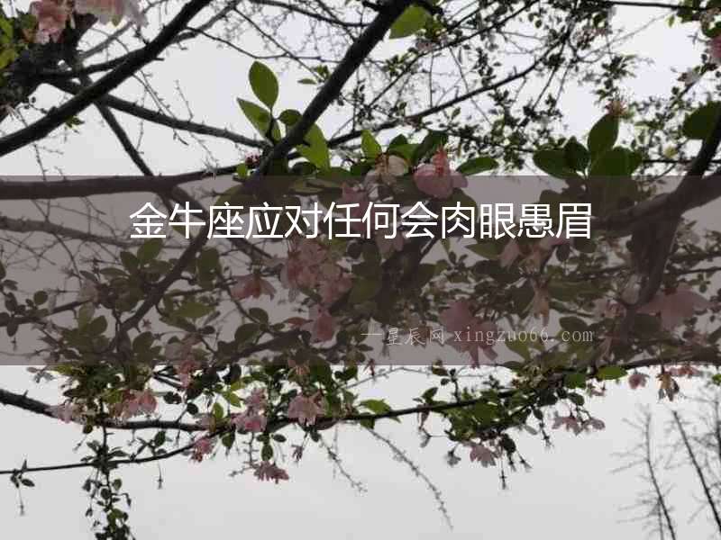 金牛座應對任何會肉眼愚眉