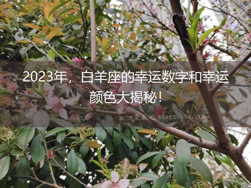 2023年，白羊座的幸運數字和幸運顏色大揭秘！