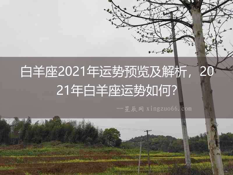 白羊座2021年運勢預覽及解析，2021年白羊座運勢如何？