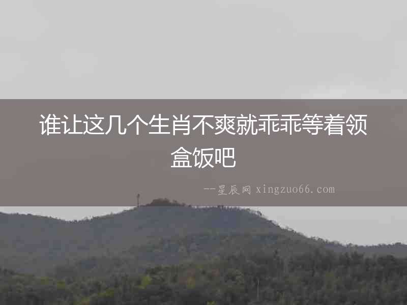 誰讓這幾個生肖不爽就乖乖等著領盒飯吧