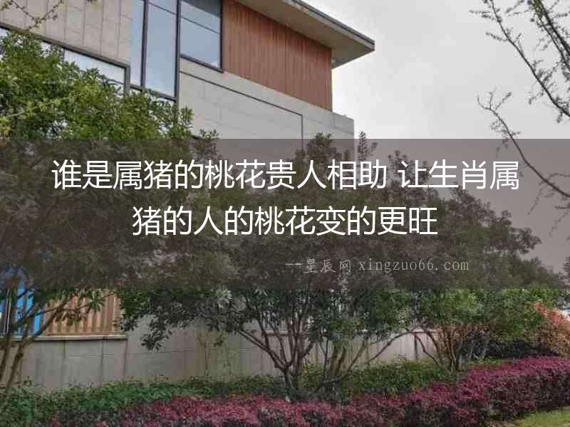 誰是屬豬的桃花貴人相助 讓生肖屬豬的人的桃花變的更旺