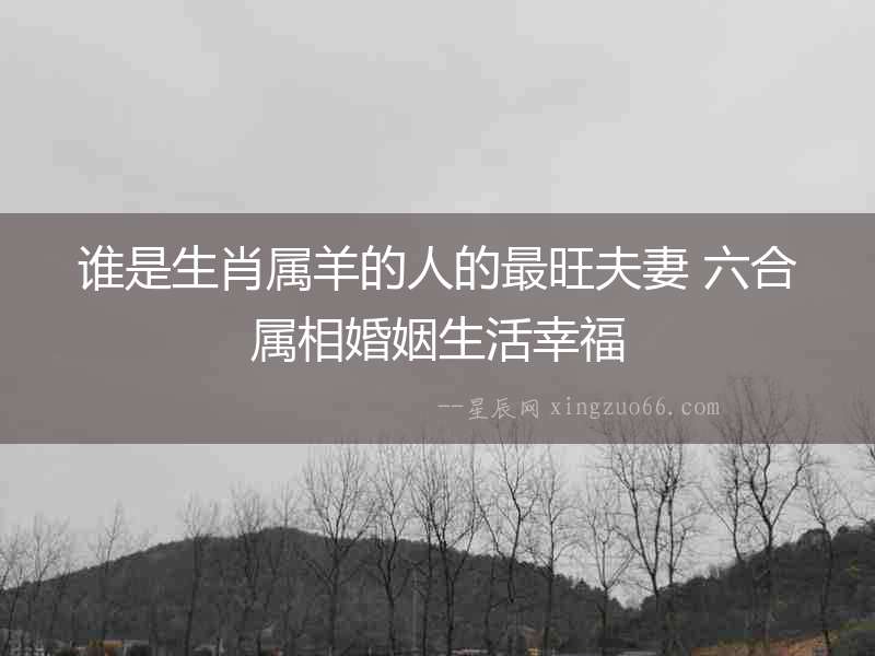 誰是生肖屬羊的人的最旺夫妻 六合屬相婚姻生活幸福