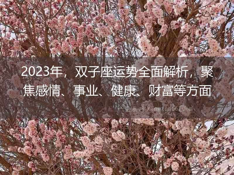 2023年，雙子座運勢全面解析，聚焦感情、事業、健康、財富等方面