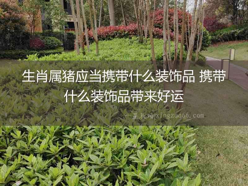 生肖屬豬應當攜帶什么裝飾品 攜帶什么裝飾品帶來好運