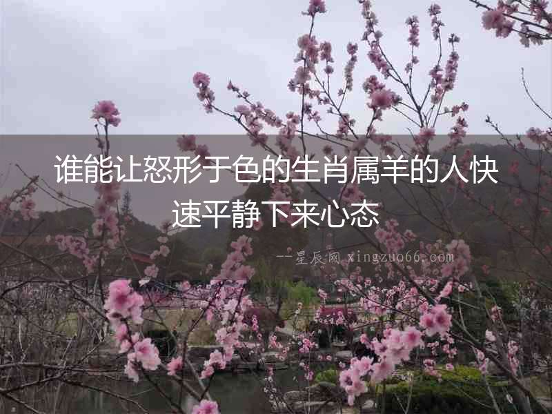 誰能讓怒形于色的生肖屬羊的人快速平靜下來心態
