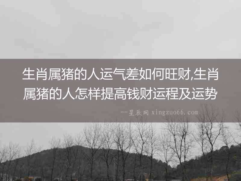 生肖屬豬的人運氣差如何旺財,生肖屬豬的人怎樣提高錢財運程及運勢