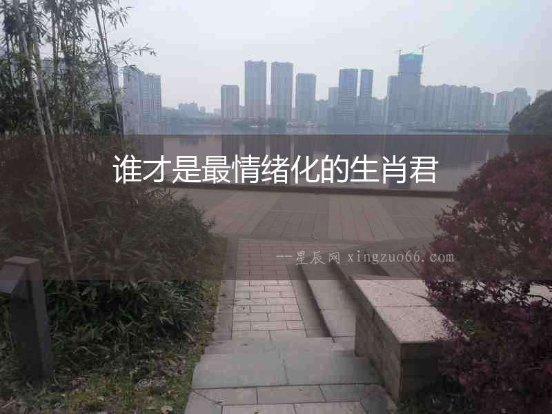 誰才是最情緒化的生肖君