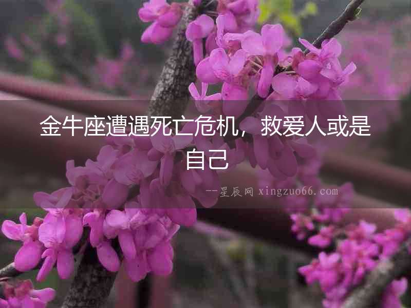 金牛座遭遇死亡危機，救愛人或是自己