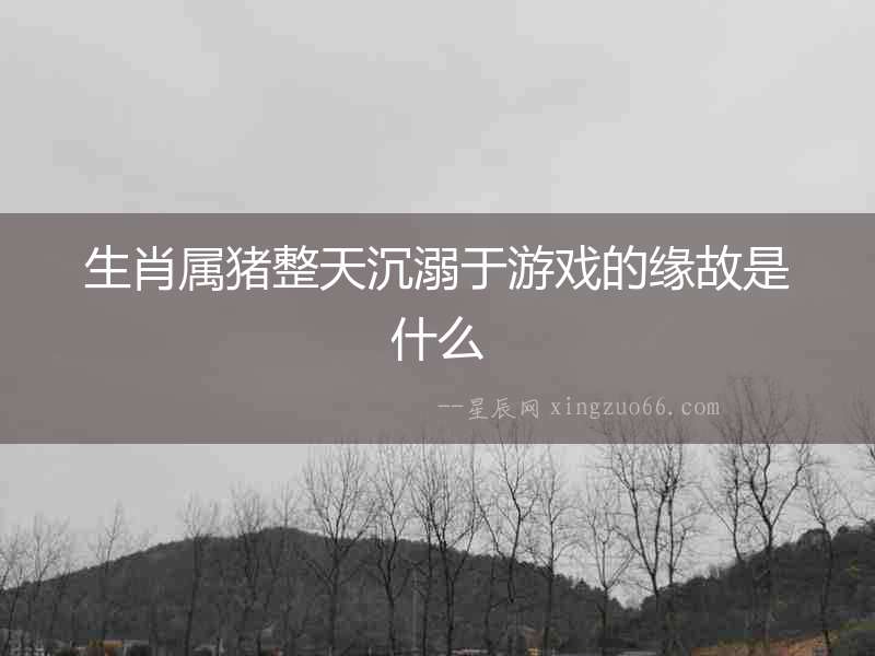 生肖屬豬整天沉溺于游戲的緣故是什么