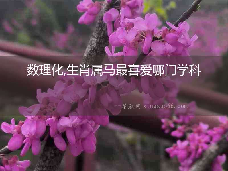 數理化,生肖屬馬最喜愛哪門學科