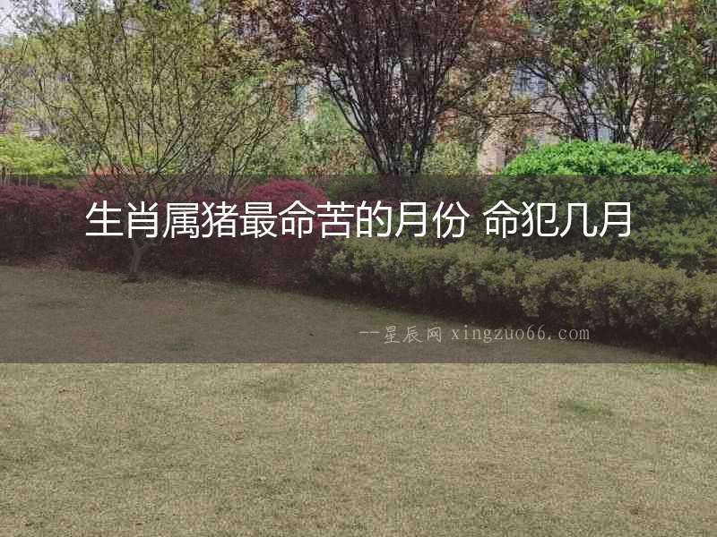 生肖屬豬最命苦的月份 命犯幾月