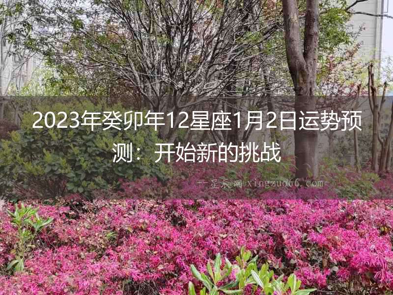 2023年癸卯年12星座1月2日運(yùn)勢(shì)預(yù)測(cè)：開始新的挑戰(zhàn)