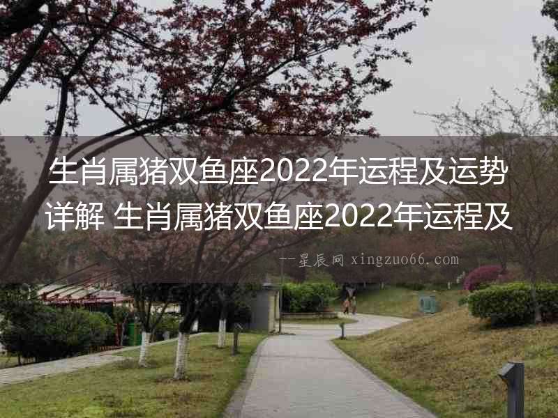 生肖屬豬雙魚座2022年運程及運勢詳解 生肖屬豬雙魚座2022年運程及運勢如何