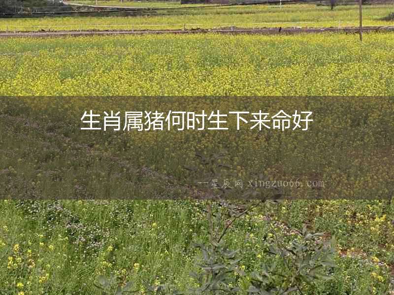 生肖屬豬何時生下來命好