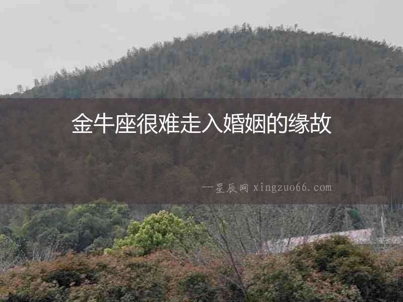 金牛座很難走入婚姻的緣故