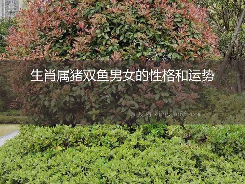 生肖屬豬雙魚男女的性格和運(yùn)勢(shì)